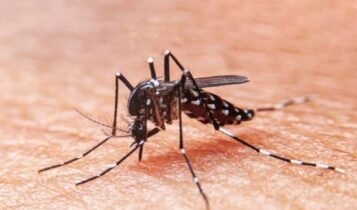 Adolescente de 17 anos morre de dengue grave em Aracaju