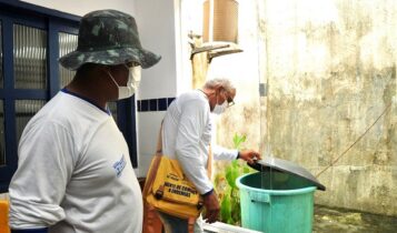 Casos confirmados de dengue crescem 290% em Sergipe