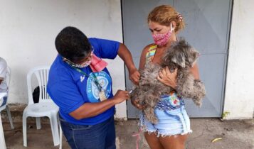 PMA realiza repescagem da Campanha Antirrábica nesta quinta-feira, 20