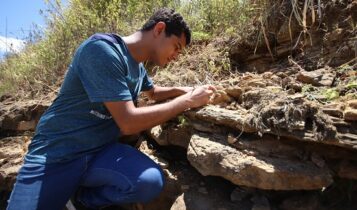 Descoberta da UFS coloca Sergipe no mapa mundial dos dinossauros