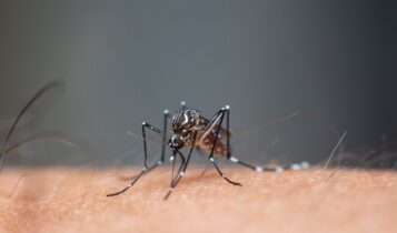 SE recebe R$ 3,6 mi para assistência farmacêutica no combate à dengue