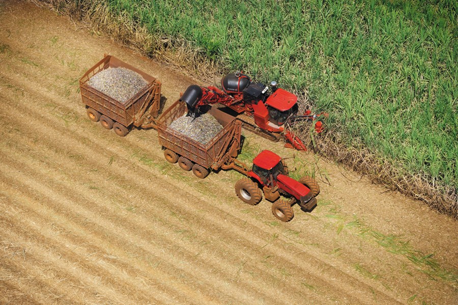 São Martinho (SMTO3) prevê aumento da produção em 2023/24, e foco maior em dividendos