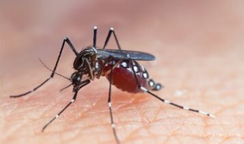 Sergipe registra primeira morte por dengue em 2025