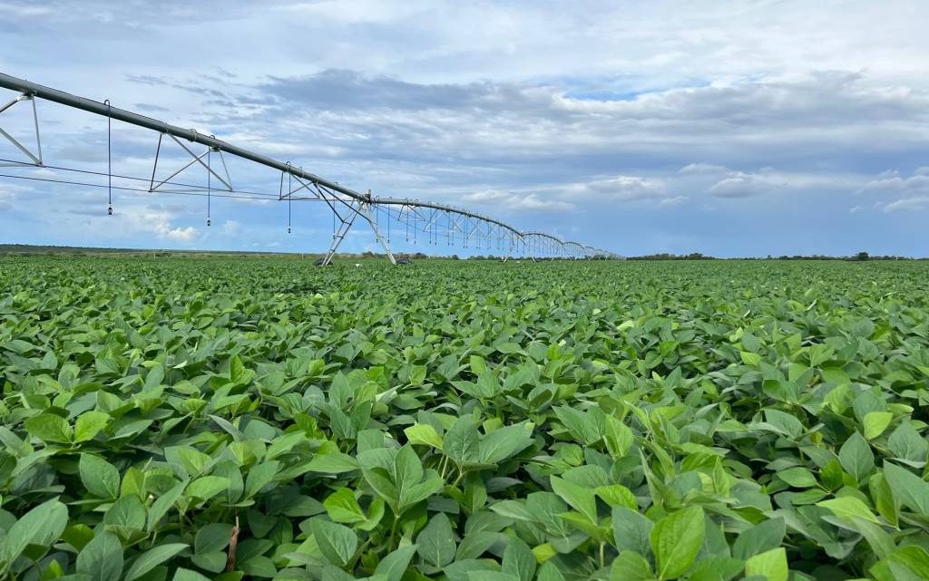 Lucro líquido da BrasilAgro (AGRO3) cai 29% no primeiro trimestre da safra 2023/24