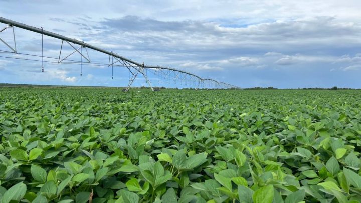 Lucro líquido da BrasilAgro (AGRO3) cai 29% no primeiro trimestre da safra 2023/24