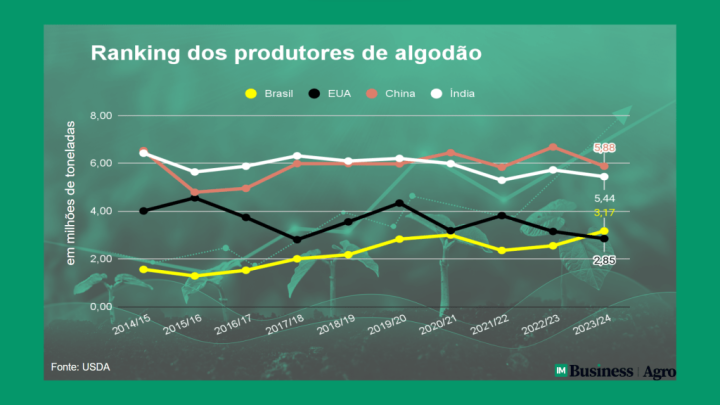 Brasil supera EUA na produção de algodão