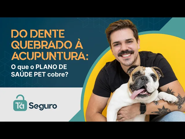 Animal não é bagagem: quais serão novas regras para transporte aéreo pet no Brasil?