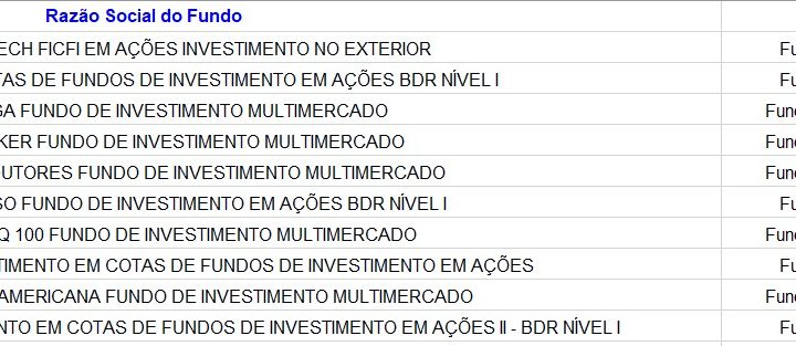 Descubra onde investem os fundos que avançaram mais de 80% no ano passado