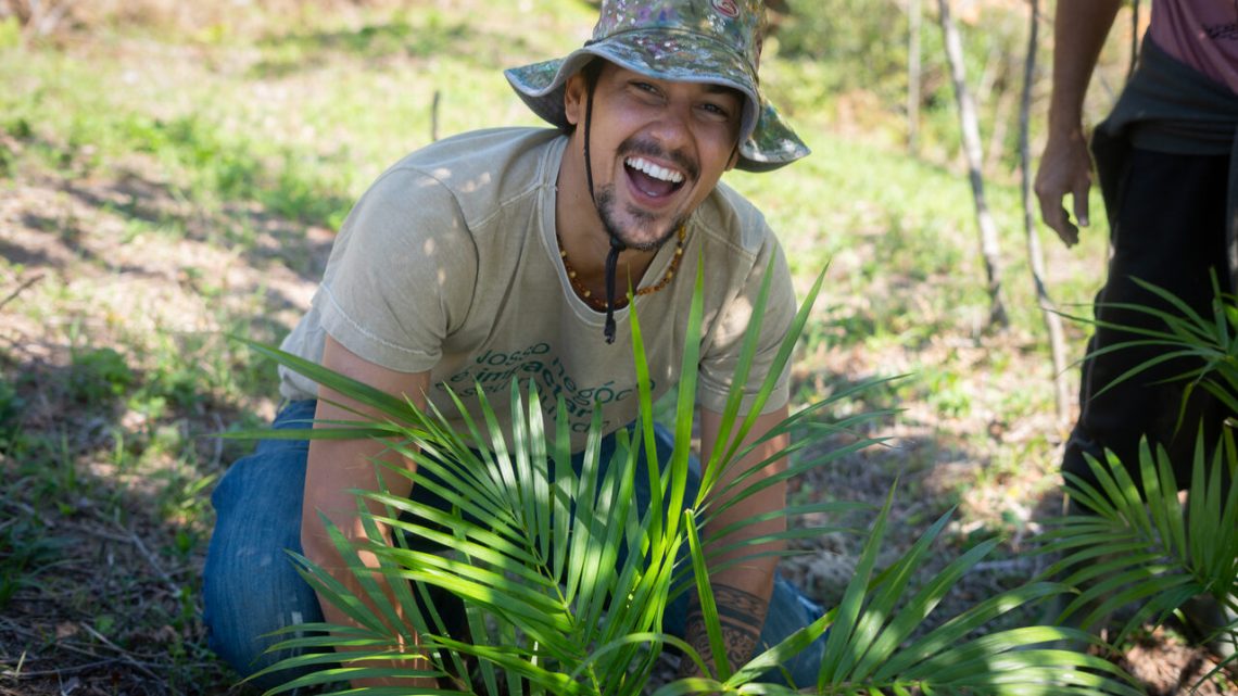 Restauração e compensação ambiental impulsionam Agroforestry Carbon