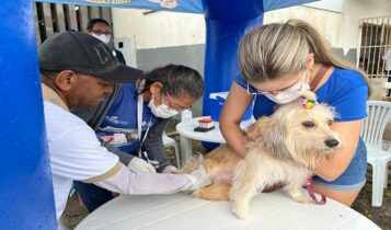 Vacinação antirrábica: PMA divulga pontos fixos deste sábado